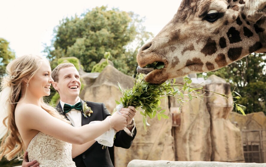 Melbourne Zoo Wedding Ceremony Locations | Easy Weddings Locations