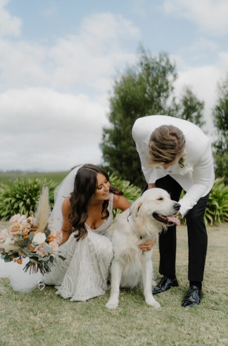 fur friend at wedding: good idea or bad?