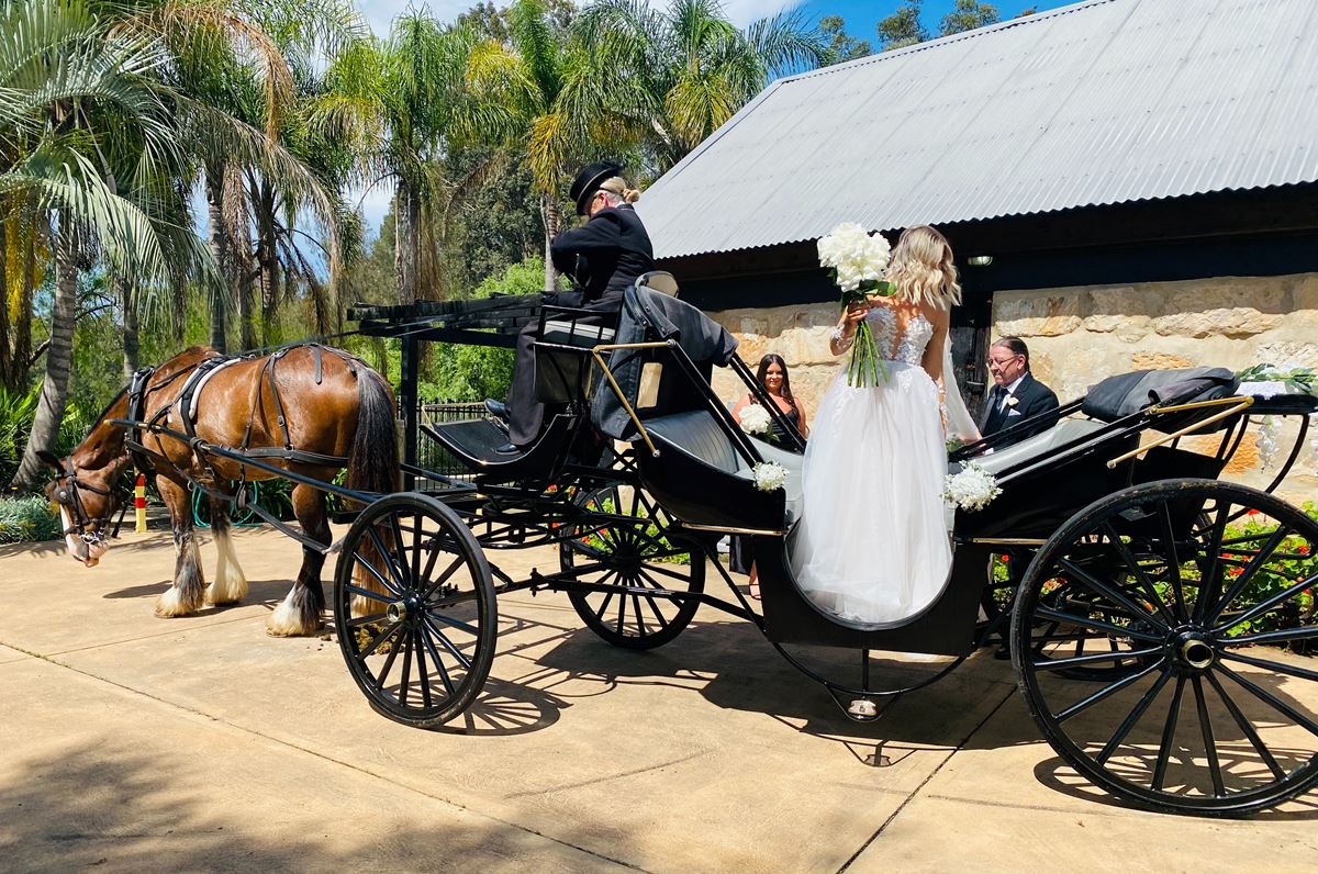 horsedrawn carriage