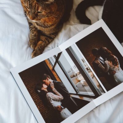 331635875 1335455773965675 4423501127290691265 n 1