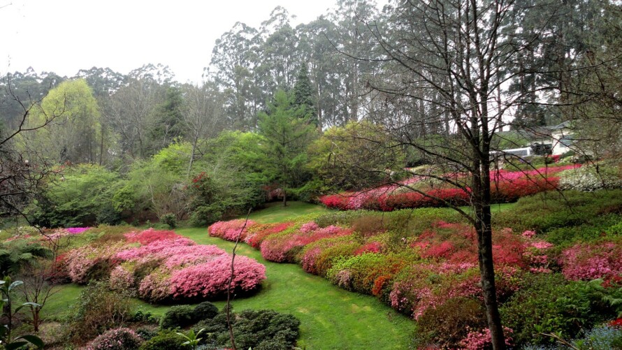 National Rhododendron Park