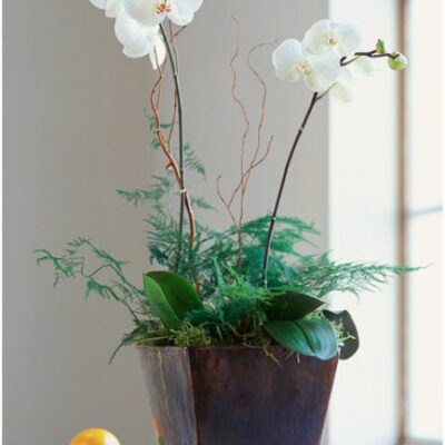 Wedding Flowers Bridal Bouquet