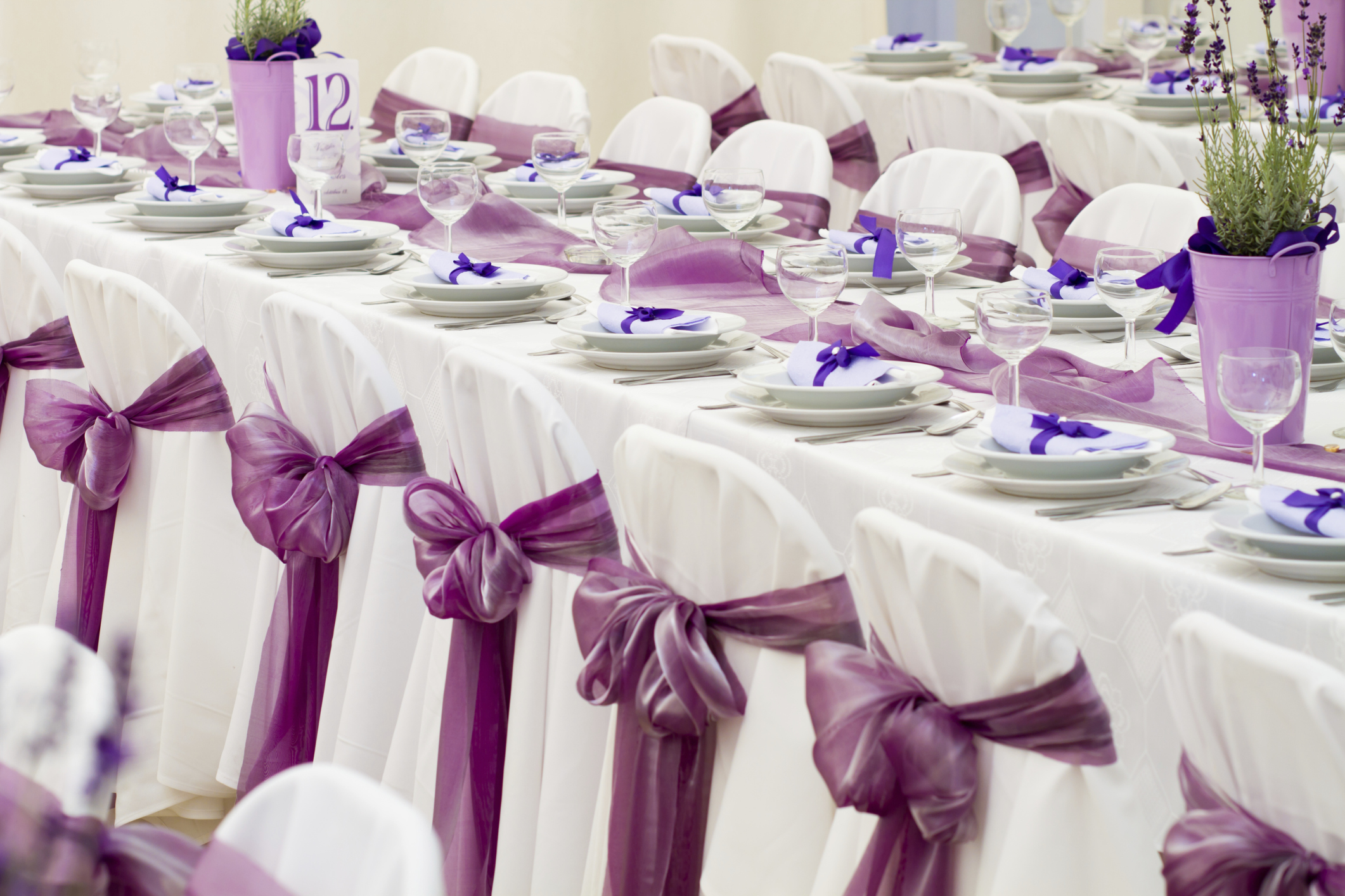 wedding chair linens