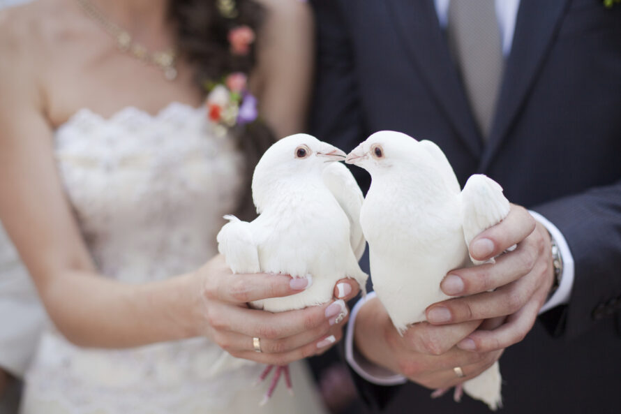 wedding doves