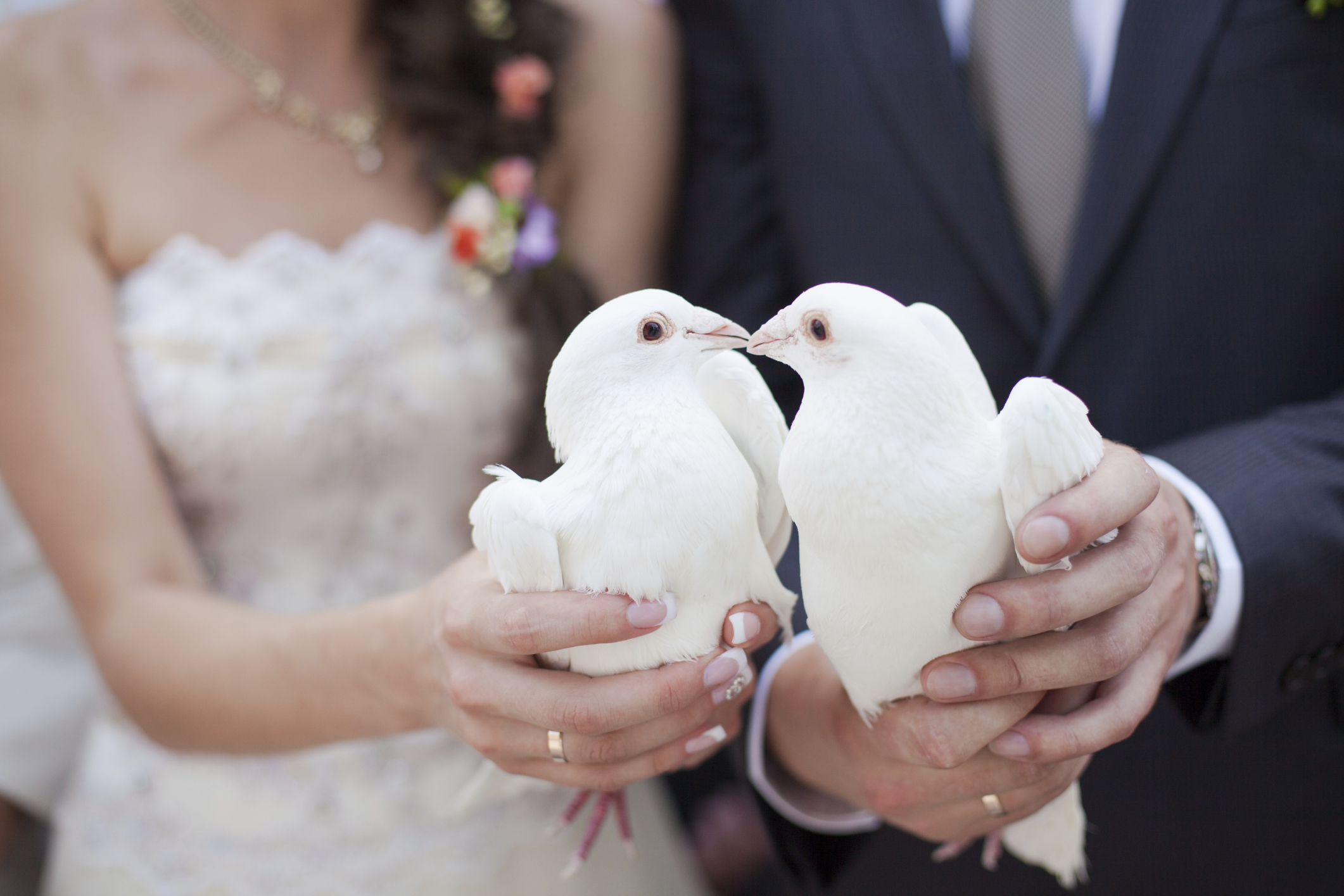 wedding doves