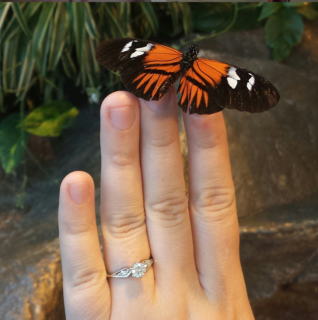 DaltonDJ1987's engagement ring selfie.