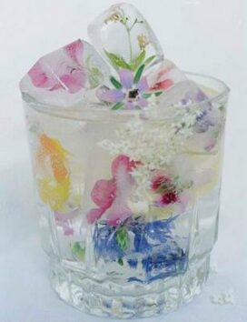 ice cubes with spring flowers
