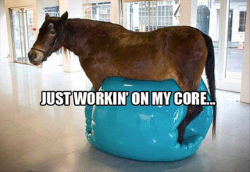 horse working out