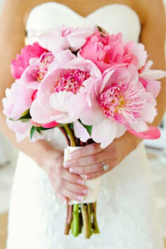 pink blooms for a bridal bouquet