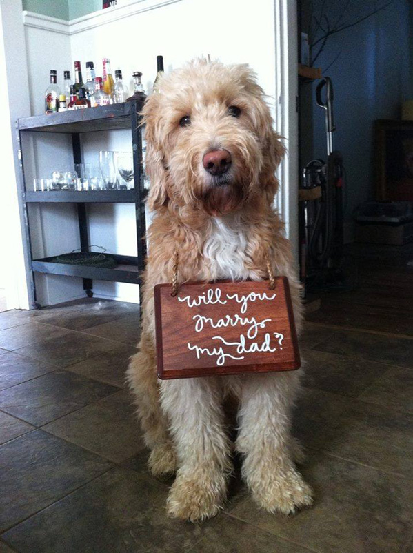 dog with a sign will you marry my dad 