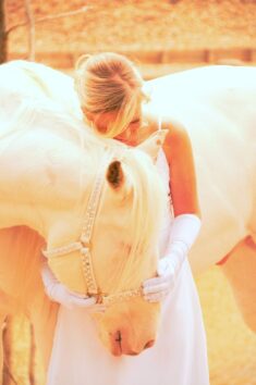Unique Performance Horses - wedding photography