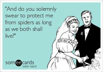wedding vows - kill the spider