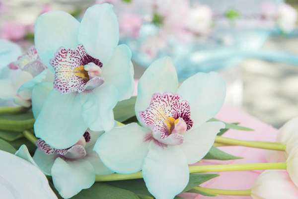 Cherry blossom pink and Tiffany blue wedding theme (5)