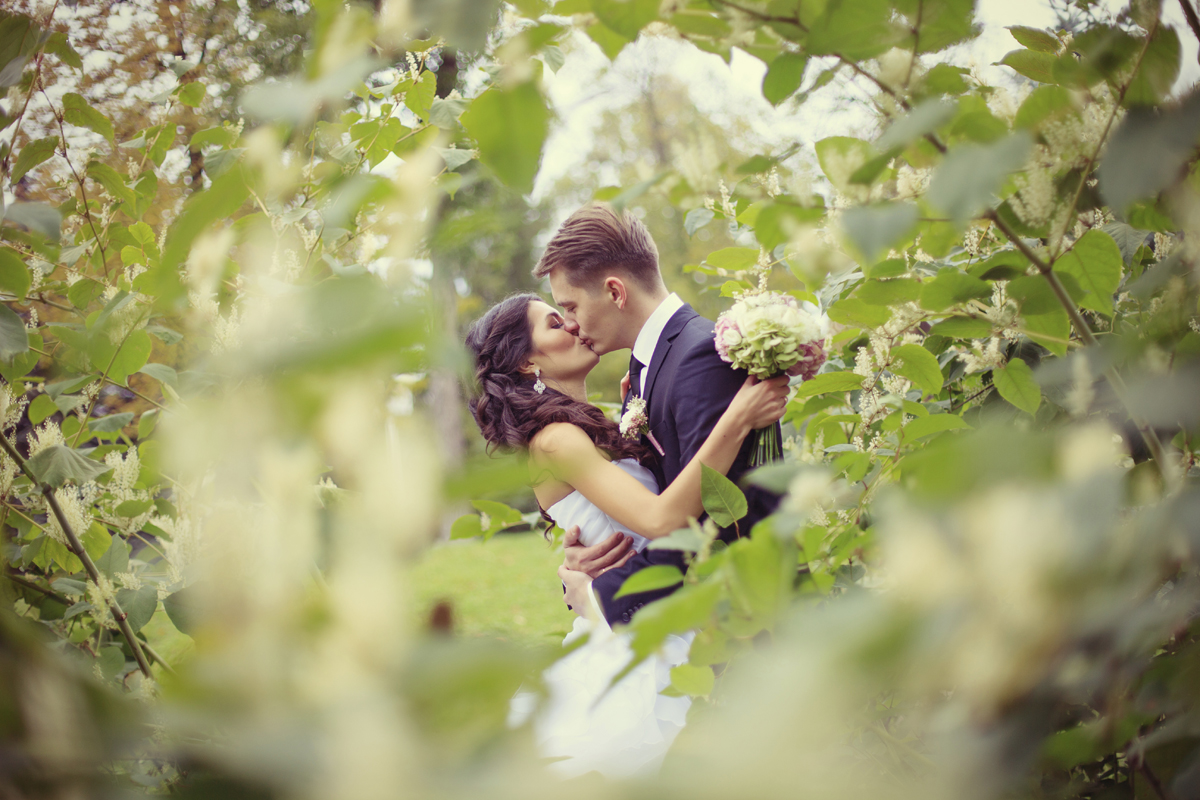 Wedding backyard elopement celebrant