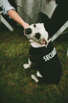 the security pooch at your wedding