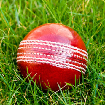 Cricketer to miss sisters wedding