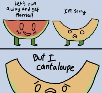 Dad jokes - I can't elope