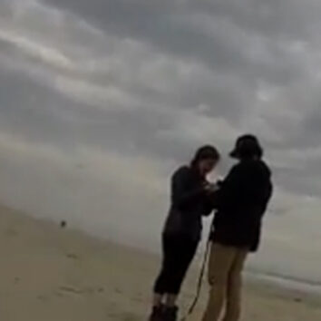 Dog captures owner's proposal with gopro
