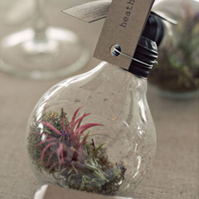 lightbulbs in weddings feature image