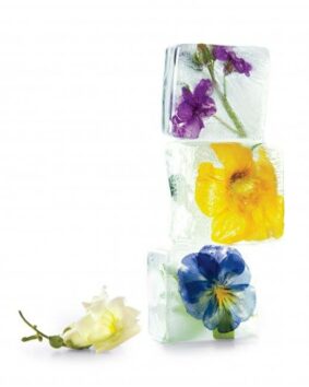 ice cubes with edible flowers