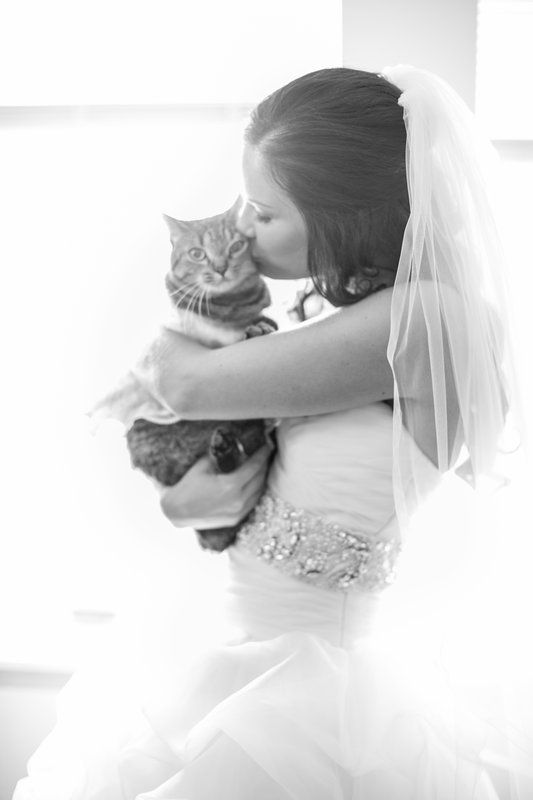 Easy Weddings Animals Scott & Ashley Britton Reynolds Photography
