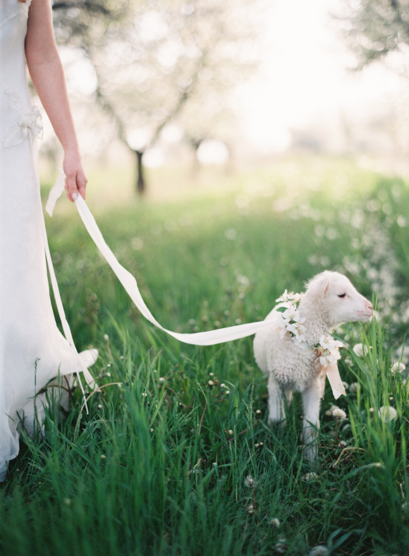 Easy Weddings Wedding Pets 2