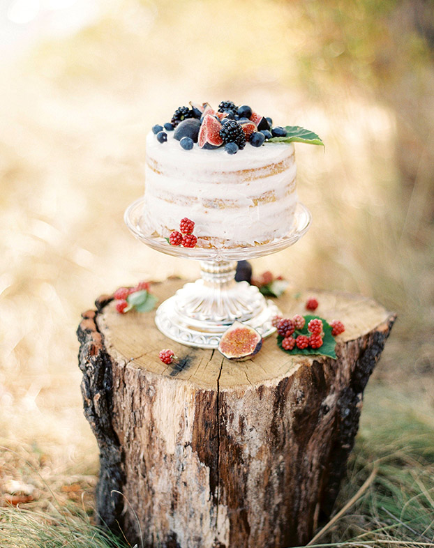 forest berry single tier wedding cake