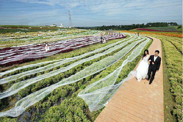 The world record holder - a 3000-metre long train