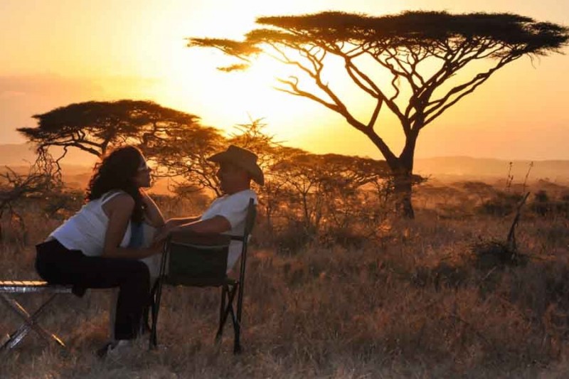 Safari honeymoon in south africa