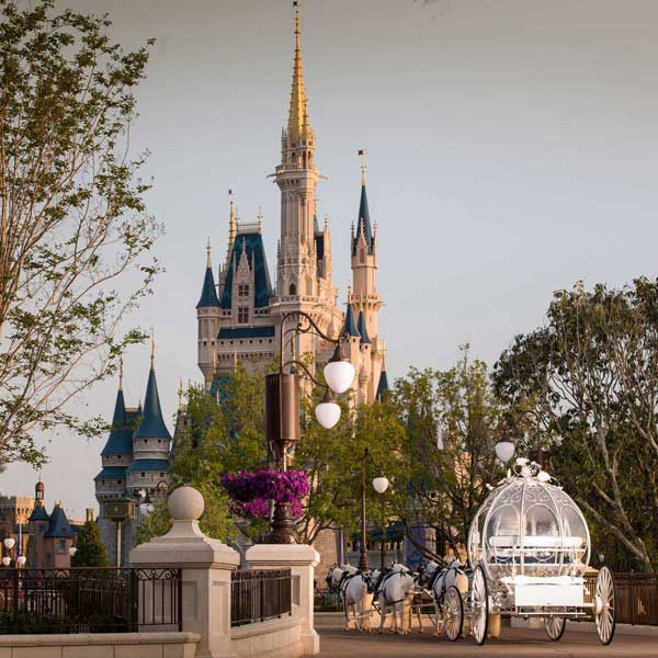 Fairy tale wedding at Disney World - Cinderella