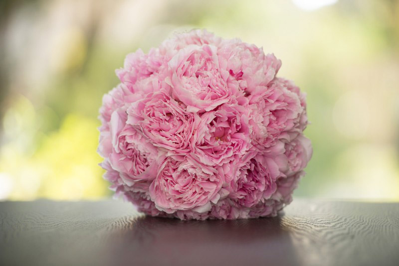 A bridal bouquet made of fresh pink peonies.