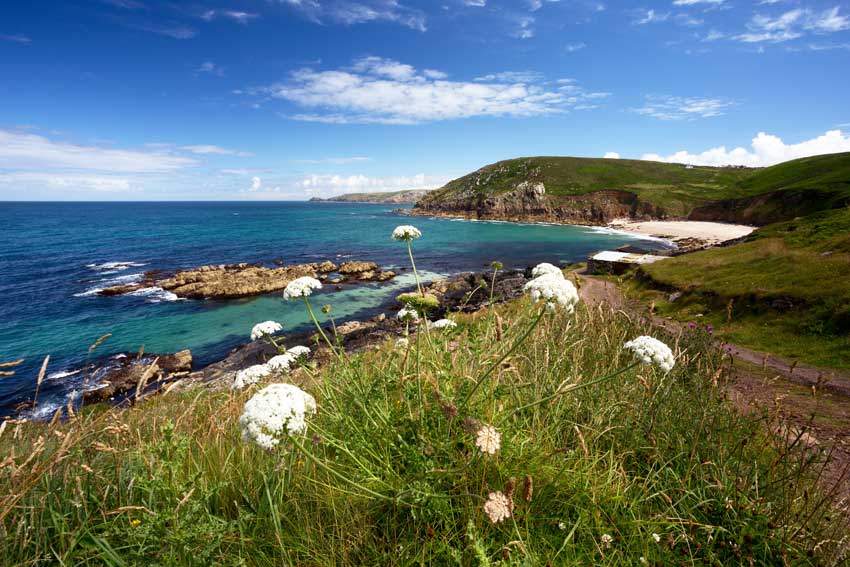 Seycat live like a local Cornish wedding