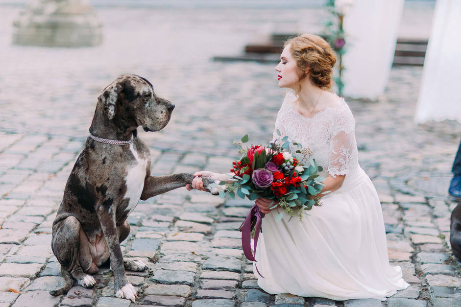 pets in your wedding