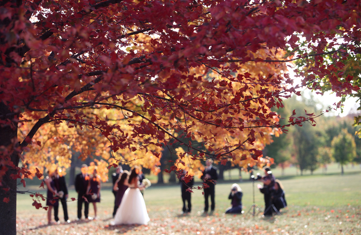 wedding video style