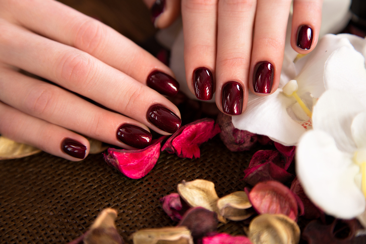 Beautiful classic red manicure on female hand. Close-up