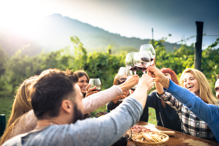 friends toasting with red wine after the harvesting