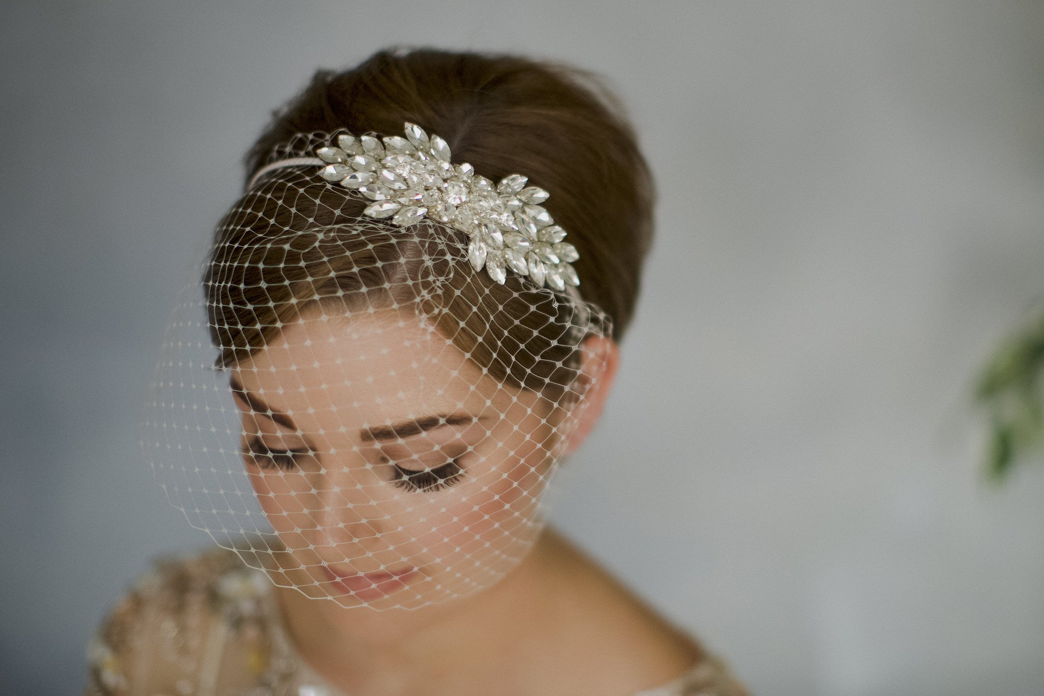 Birdcage Veil by Debbie Carlisle