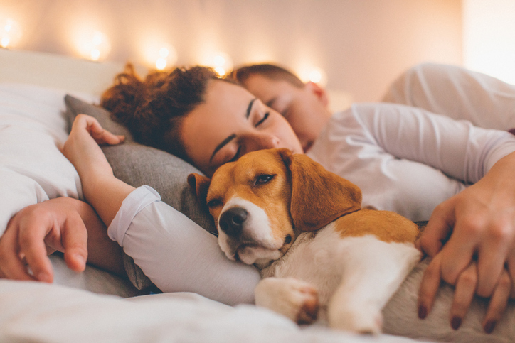 Young couple relaxing on the bed with her pet dog