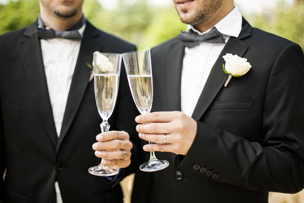 Portrait of Gay Couple making a toast