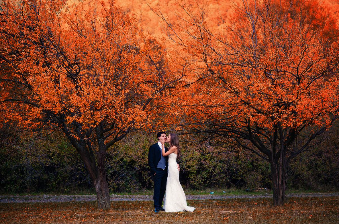  Wedding Directory Photography Norfolk Swan Photography 