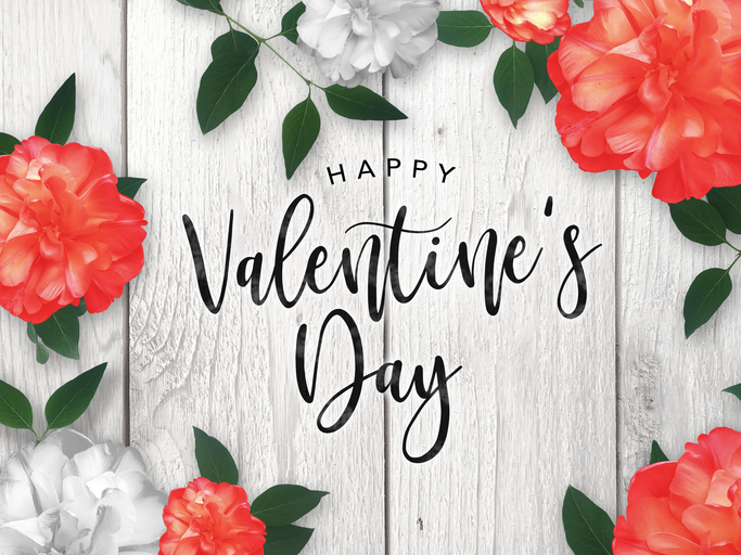 Happy Valentine's Day Celebration Text Over Red Roses Border with Rustic Whitewashed Wood Background