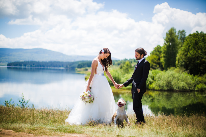 Bride and groom wedding with dog
