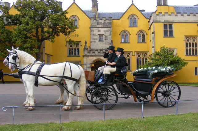The Horse Drawn Carriage Company