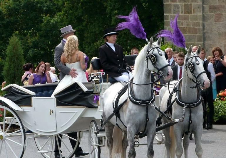 horse and carriage company, wedding car providers nottingham