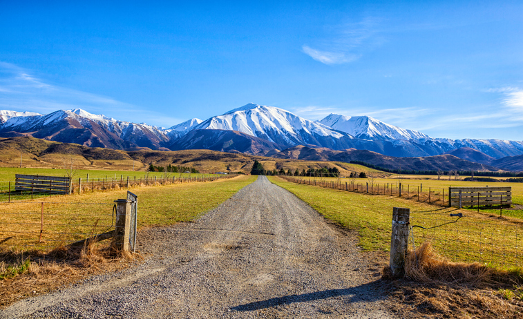 Canterbury Landscape And the Southern Alps In New Zealand