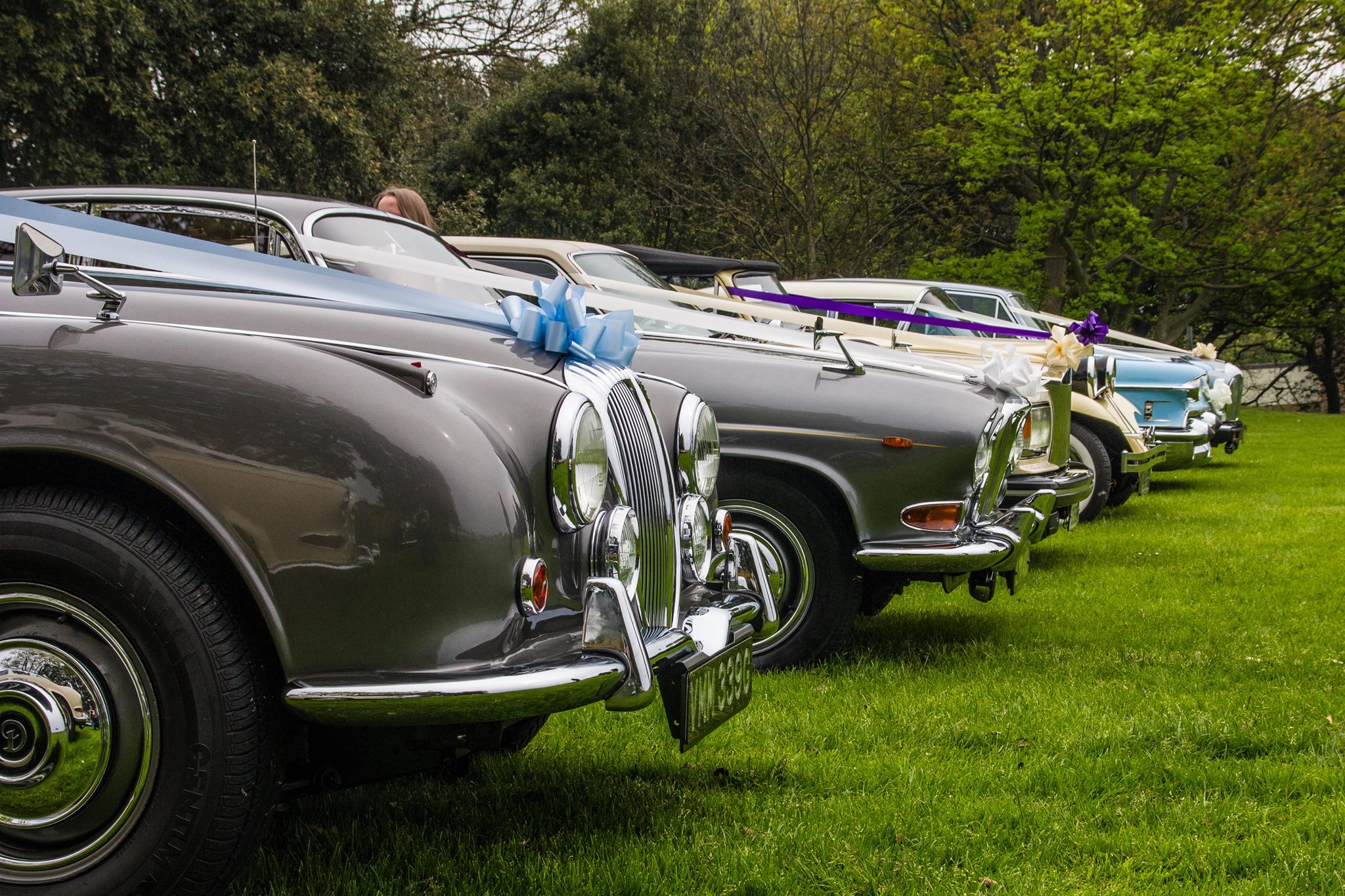 wedding cars hastings