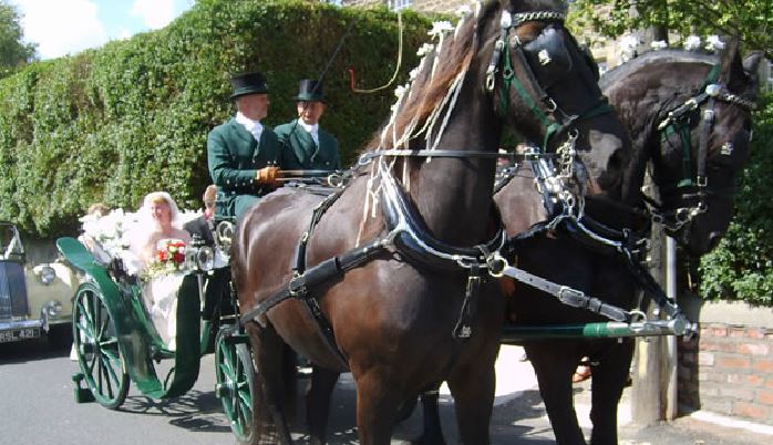 carriagehorses, wedding car providers newcastle upon tyne
