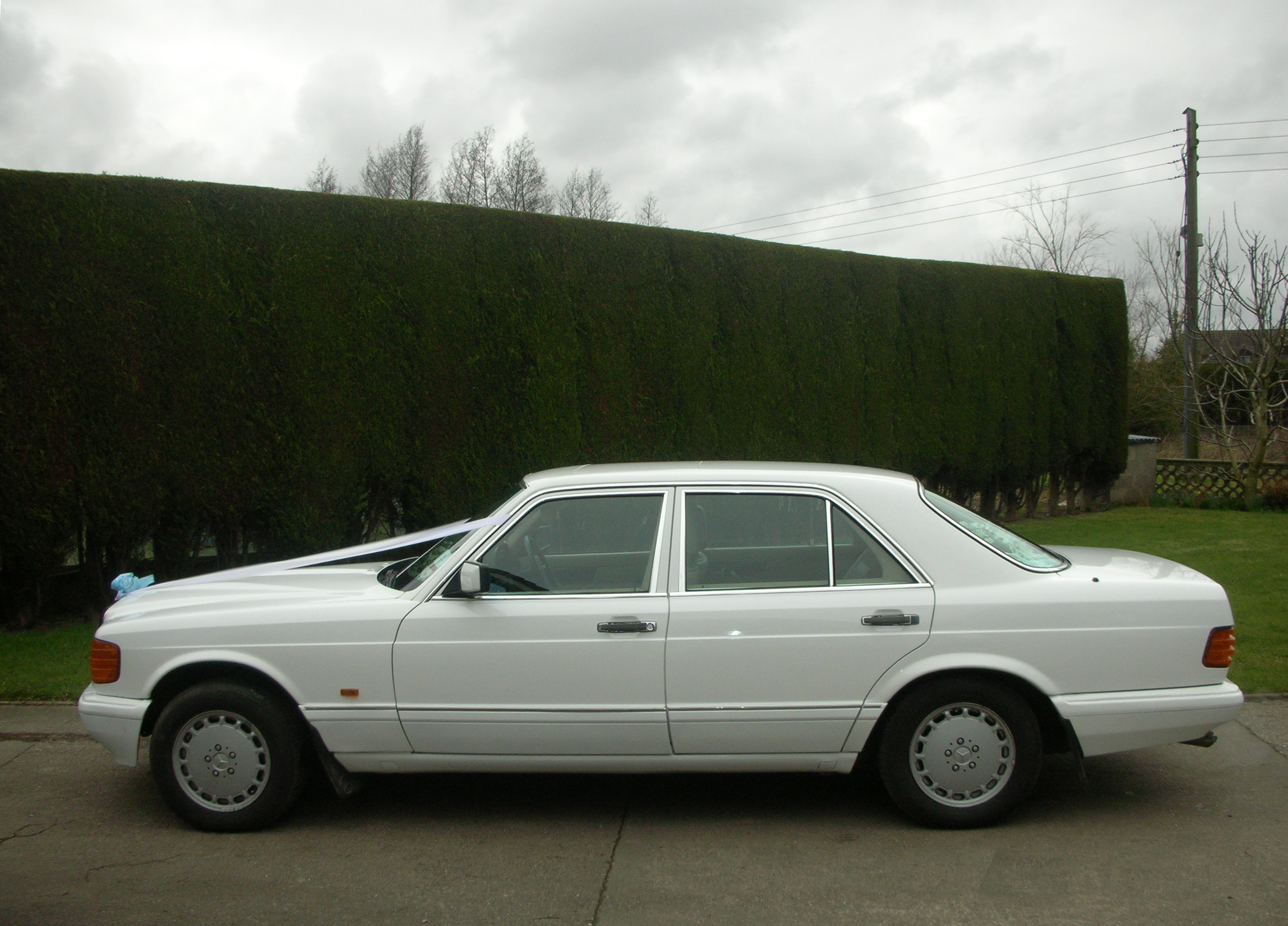 wedding cars kingston