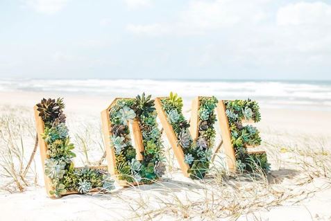 wedding succulents