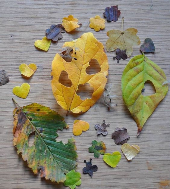 natural wedding confetti